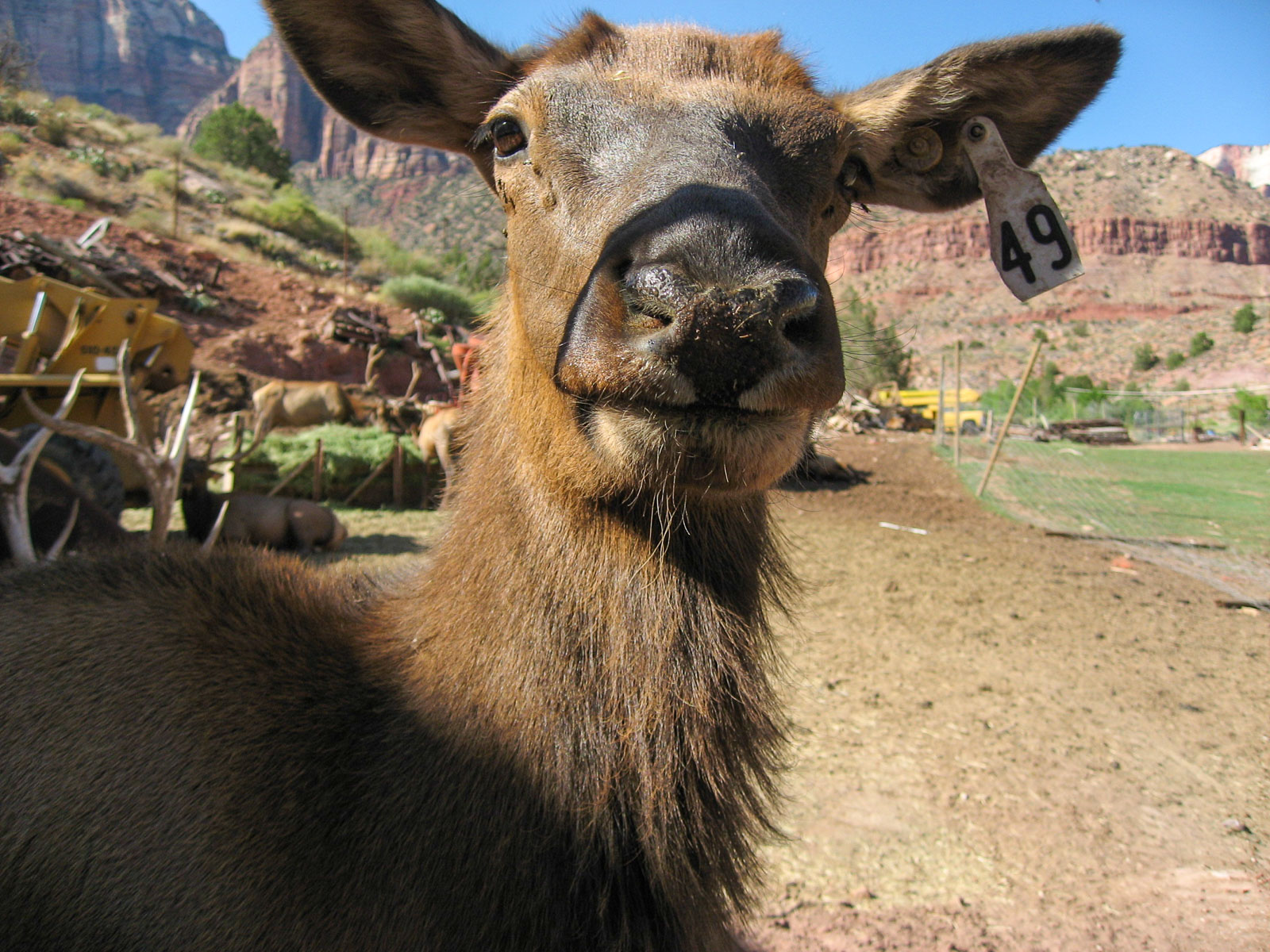 12 USA 2008 fabien et leslie 1507